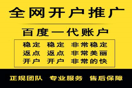 竞价推广实战：案例分析行业领军企业的成功之道